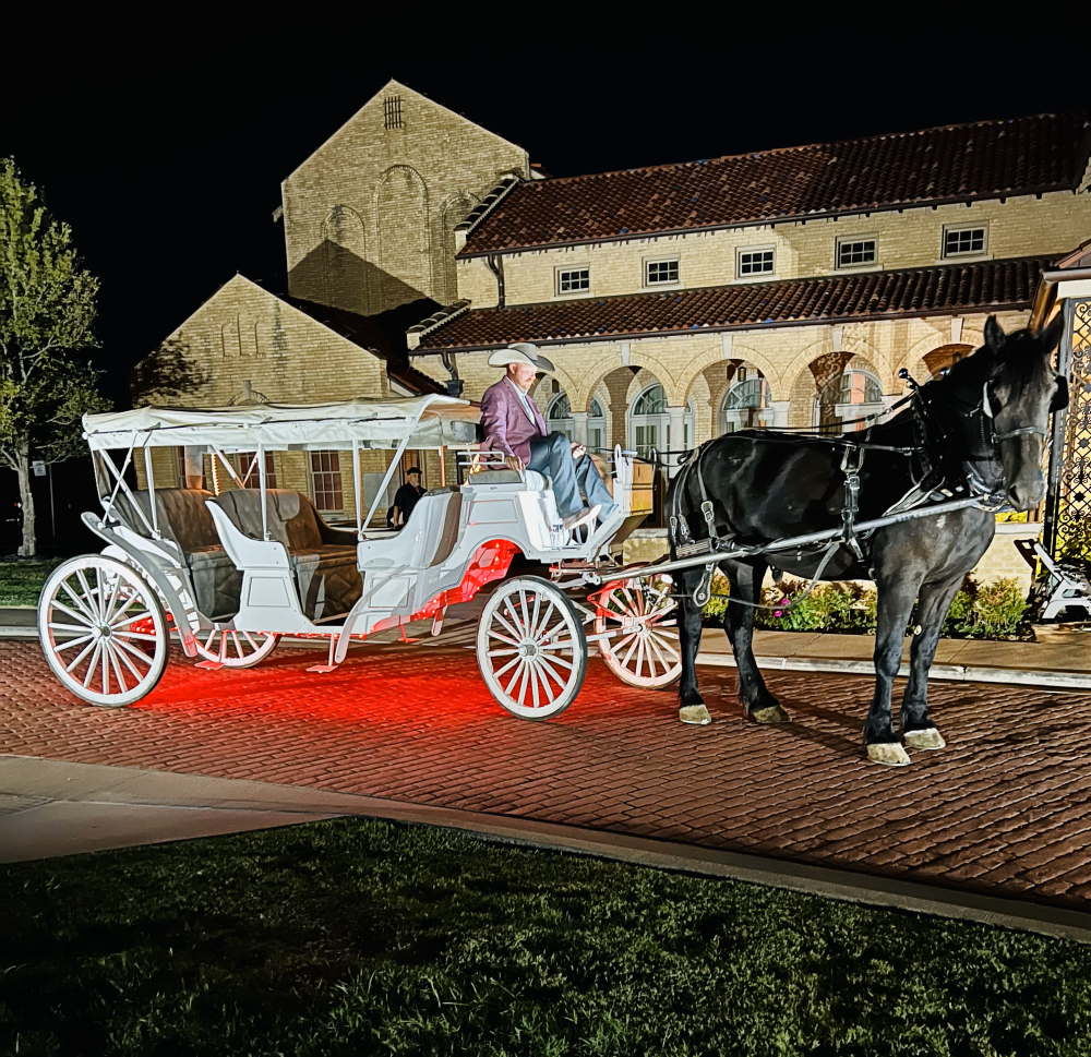 PTL Carriages | Horse Drawn Carriage Rentals